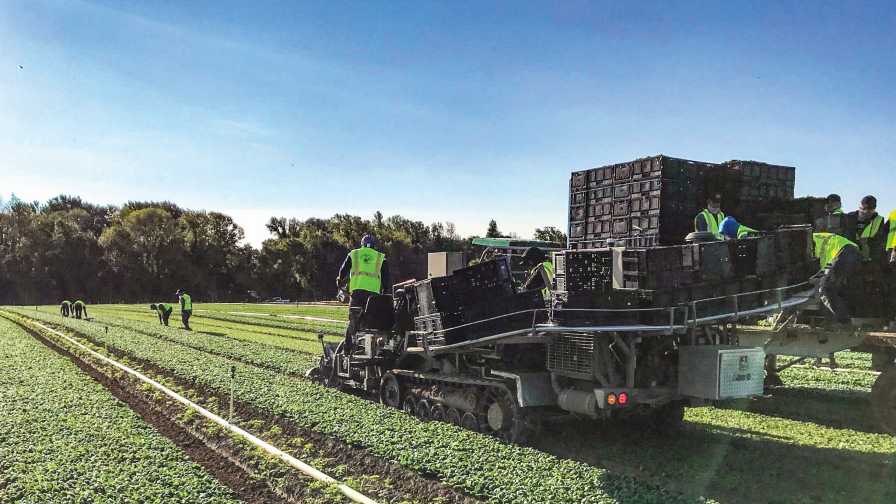 Duncan Family Farms Makes Big Deal To Expand Organic Operations - Vimarsana News