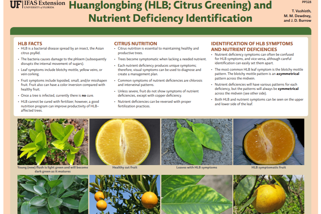 Leaflet Category: Huanglongbing and Nutrient Deficiency Identification