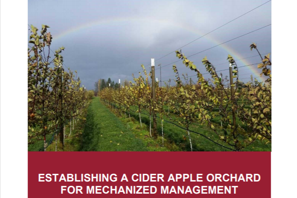 Fact Sheet Category: Establishing a Cider Apple Orchard for Mechanized Management