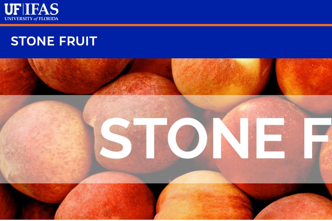 Fact Sheet/Website Categories: Low-Chill Stone Fruit Website