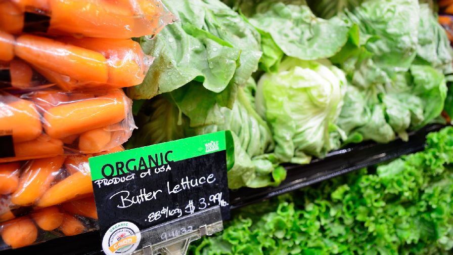 Trending up: Organic Produce Sales and Volume Both See Growth - Vimarsana News