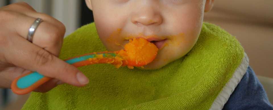 Baby Food, All Grown Up 