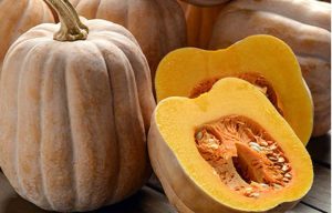 'Autumn Frost' squash (PanAmerican Seed)