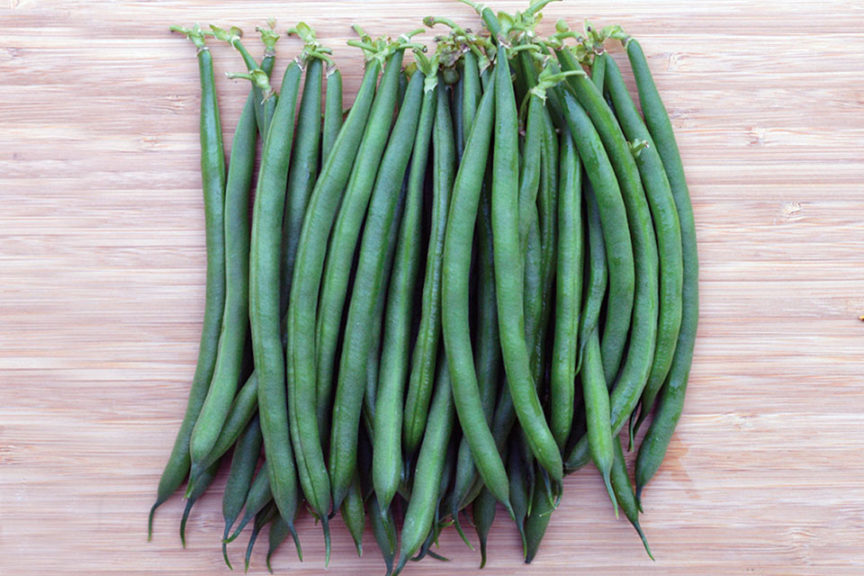 New Kings Vegetable Seeds Dwarf French Bean 'Faraday' New Variety