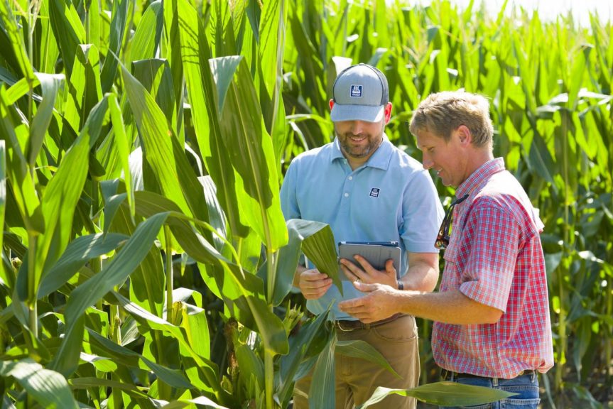 Celebrating 75 Years of Advancing Agriculture - Growing Produce