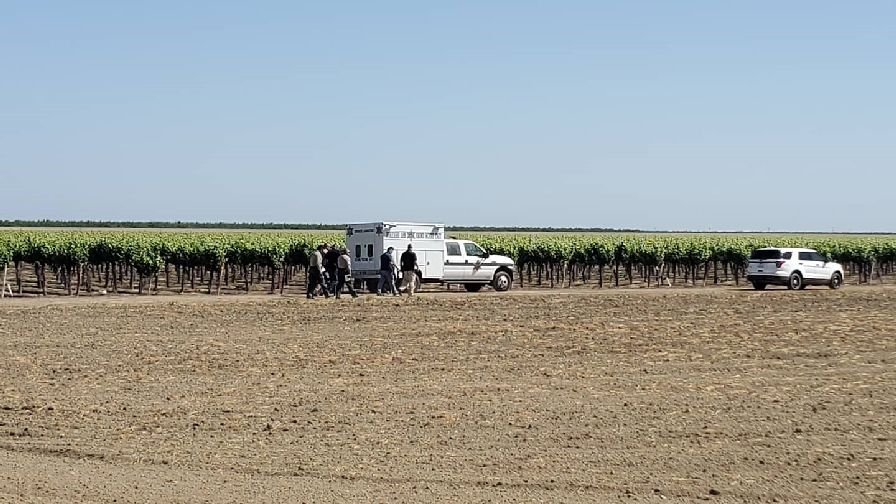 One Dead, Two Injured in California Vineyard Shooting - Vimarsana News