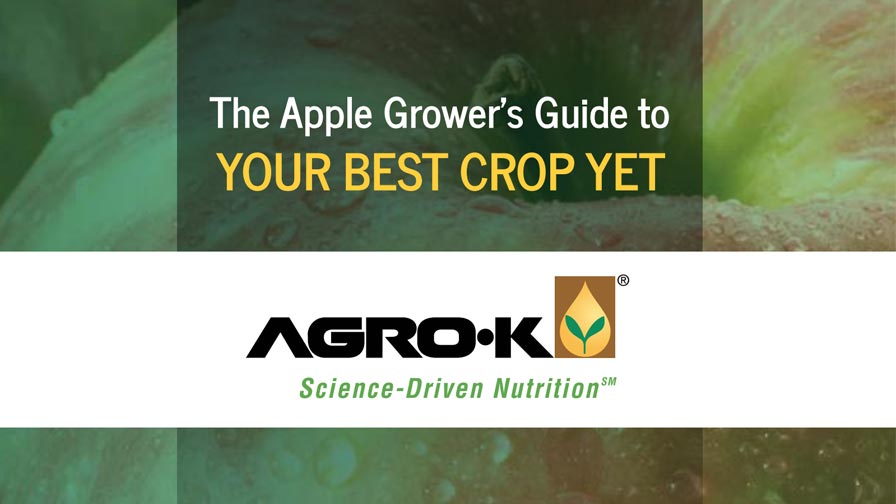 The Apple Grower’s Guide to Your Best Crop Yet