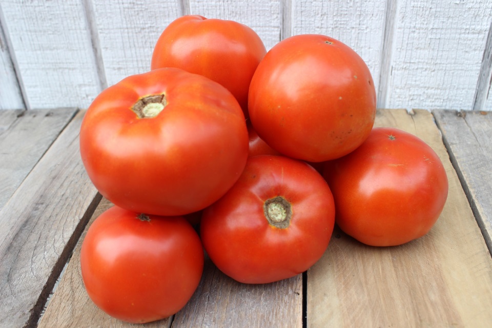 seeds Cuban Golden Grape Tomato 5 EXCEPTIONAL and SWEET! 