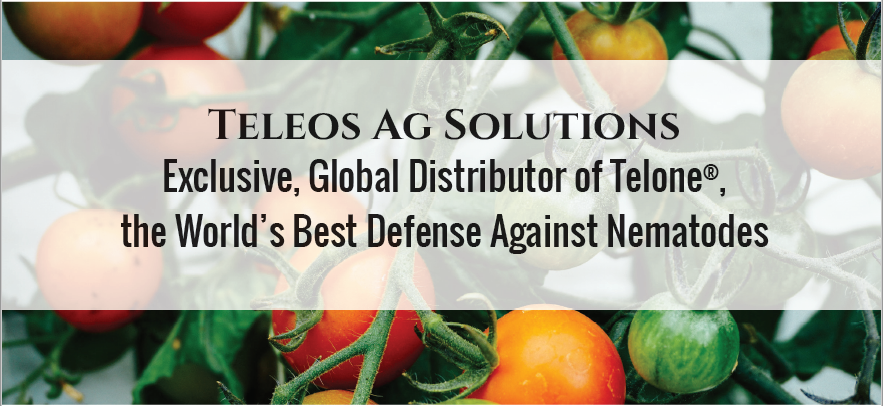 Exclusive, Global Distributor of Telone®, the World’s Best Defense Against Nematodes