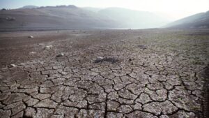 California Growers Demand Action on State’s Water Supply