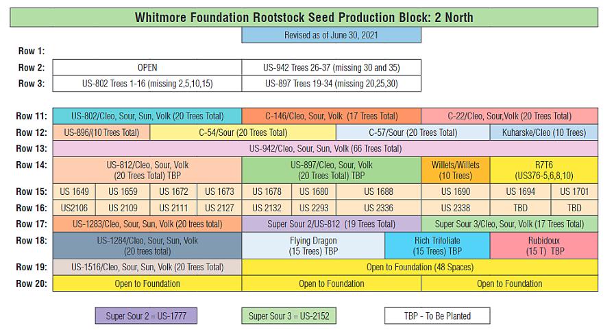 Diagram of Whitmore Foundation Citrus Rootstock Seed Production Block 2