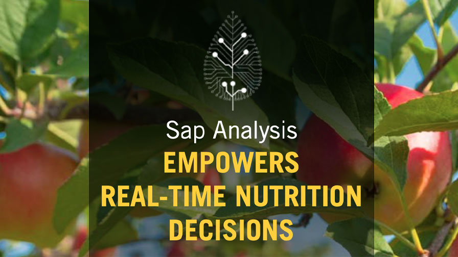 Make Crop Nutrition Decisions Based on Cutting-Edge Science