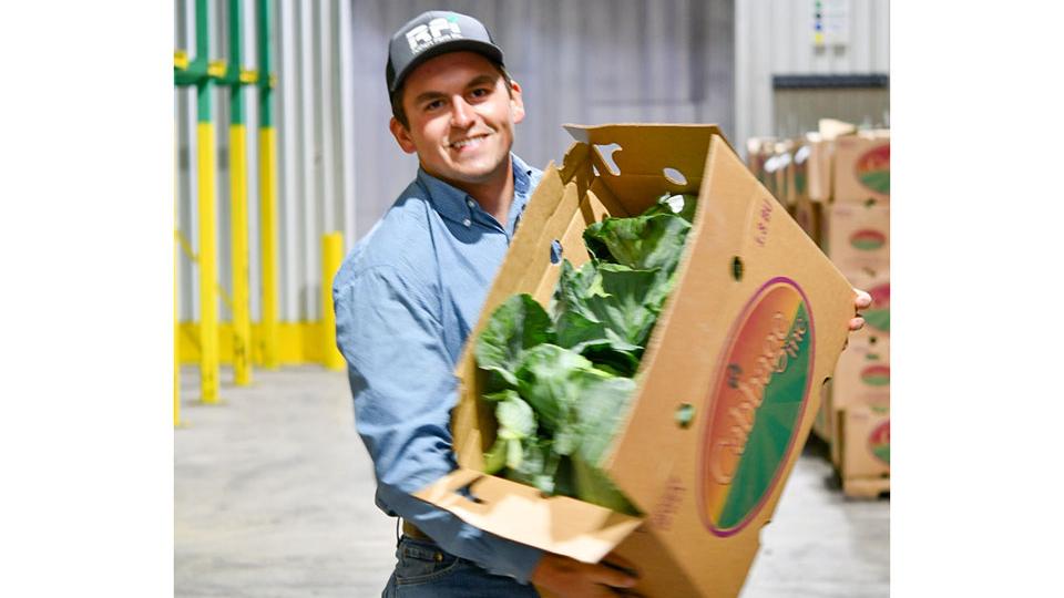 Vegetable Grower Uses Biologicals To Turn Table on Diamondback Moth and Aphids - Vimarsana News
