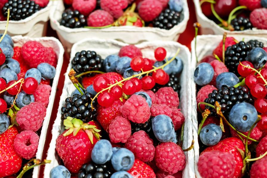 Fruitful Prospects Continue To Flourish for Berry Growers Today - Vimarsana News