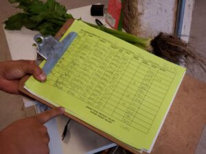 Paper Harvest Estimates Better for Field Work than Electronics