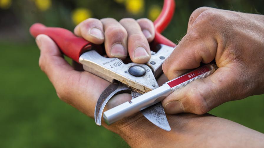 Are You in Need of Orchard Equipment? Act Now - Vimarsana News
