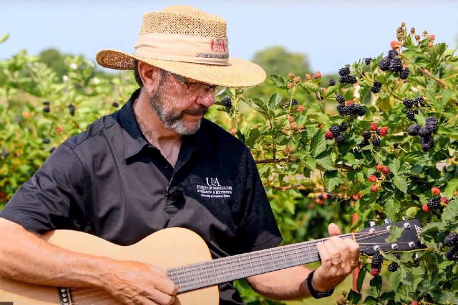 Berry Researcher Strikes the Right Note for Learning and Teaching - Vimarsana News