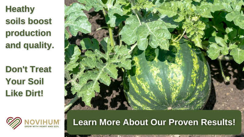 Healthy Soils are the foundation for resilient crops and better watermelon harvests