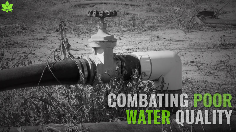 Combating Poor Water Quality, Sustainably
