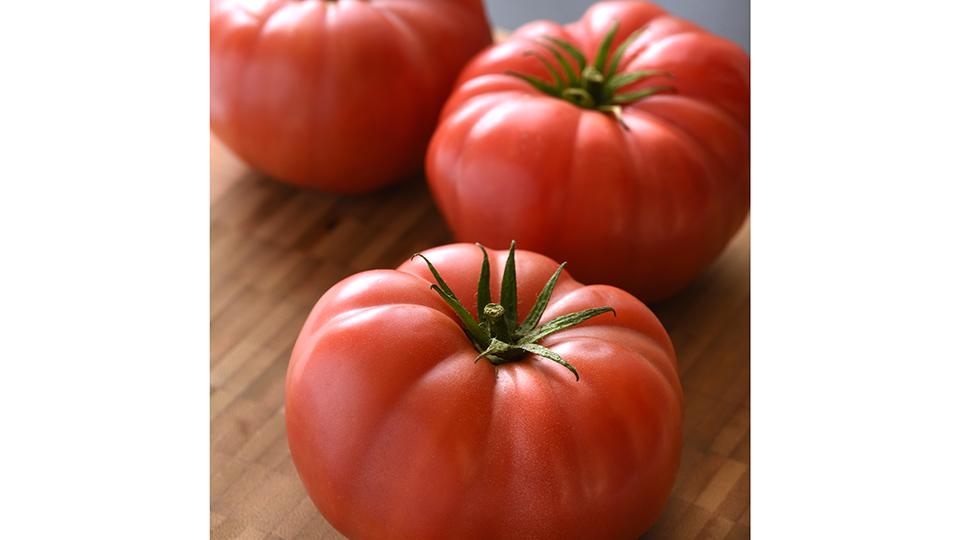 100 Polish Paste Tomato Seeds 2x Better Than Roma b/c Indeterminate  & Taste 