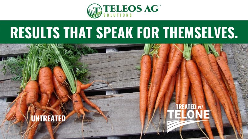 Let Us Handle The Nematodes So You Can Handle Everything Else.