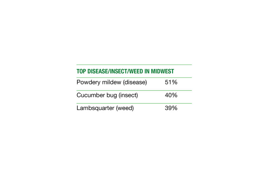Top Midwest Pests