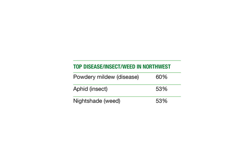 Top Northwest Pests