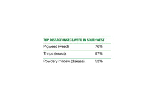 Top Southwest Pests