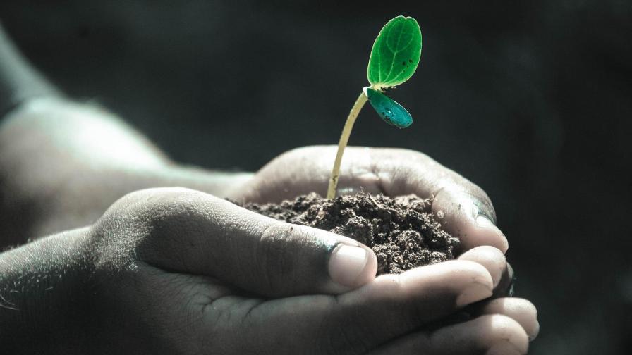 Produce Growers Need To Look at the Big Picture: With Hunger There Is No Peace - Vimarsana News