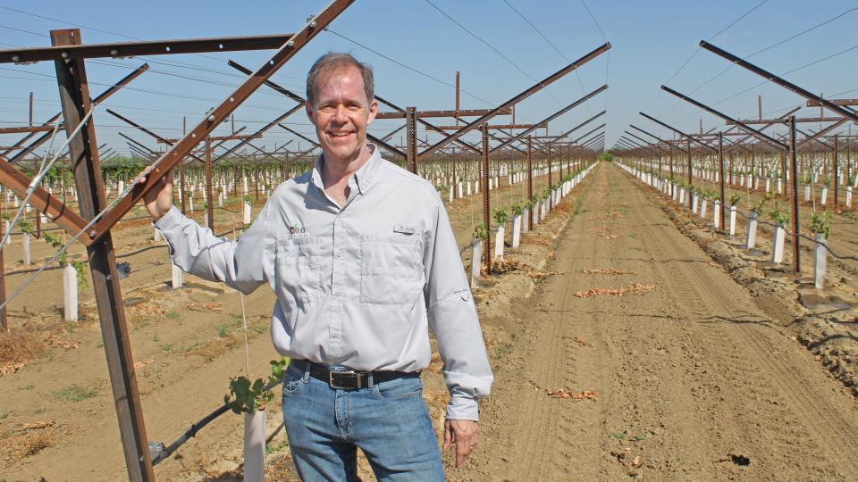 How International Fruit Genetics Is Taking Plant Breeding To the Next Level - Vimarsana News