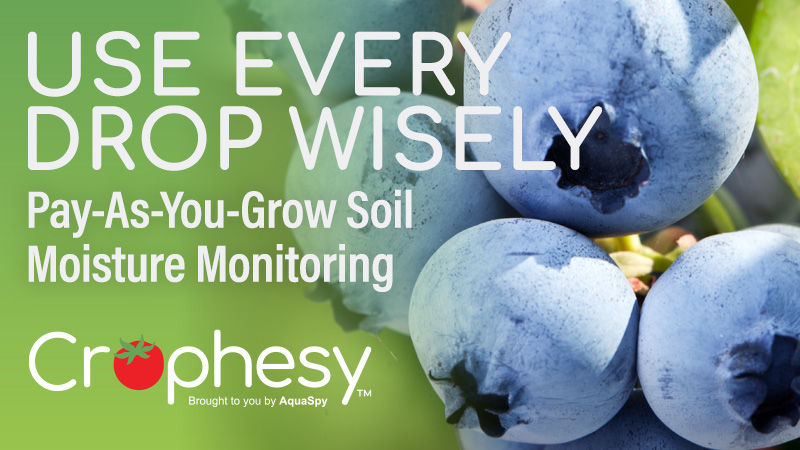 Are your crops absorbing sufficient water? Here’s how use every drop wisely.