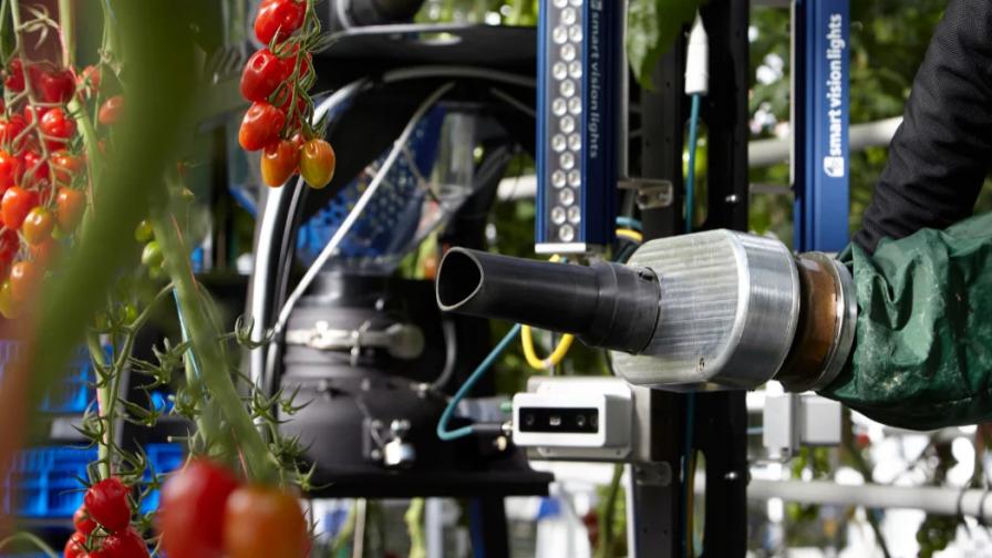Robotic Harvesting System for Greenhouse Tomatoes Being Put To the Test - Vimarsana News