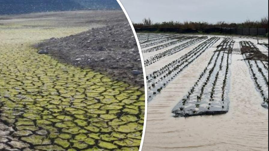 Weather Woah! What a Difference a Half Year Makes for California Growers - Vimarsana News