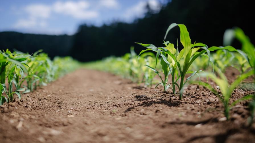 Why Technology and Healthy Soil Make the Perfect Pair - Vimarsana News