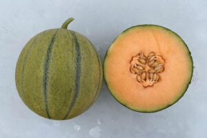 Melondade (Johnny's Selected Seeds)