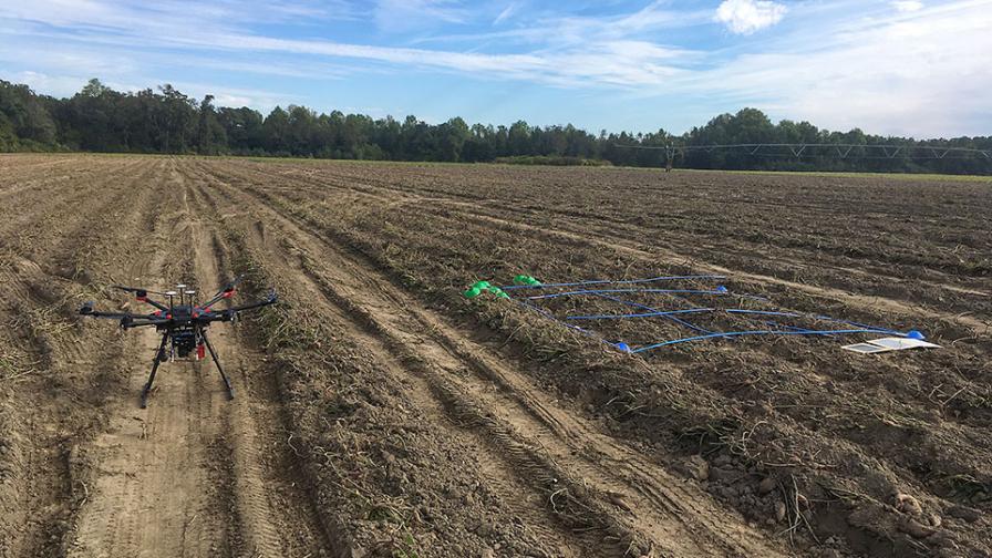 Artificial Intelligence Promises To Help Reduce Food Waste on Farms - Vimarsana News