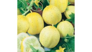 Lemon (Seeds by Design)