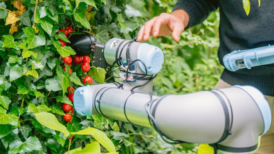 ChatGPT, Can You Help Design a Tomato Harvesting Robot? Yes - Vimarsana News