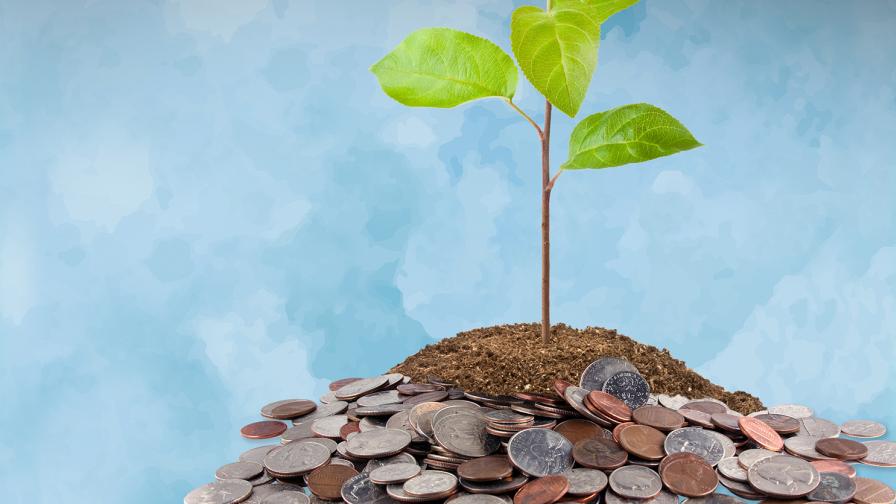 The Best Ways for Fruit Growers To Neutralize Fertilizer Costs - Vimarsana News