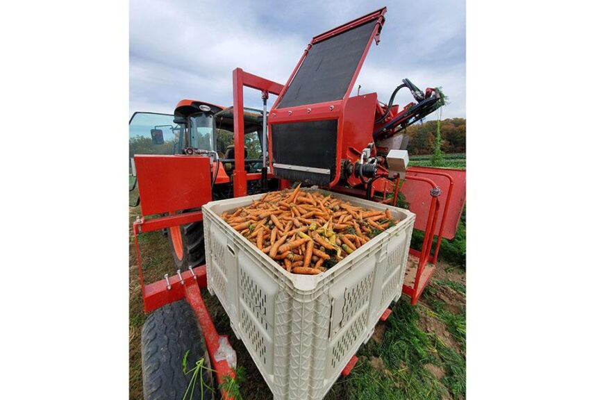 CM-100C mounted harvester for carrots (ASA-Lift) 