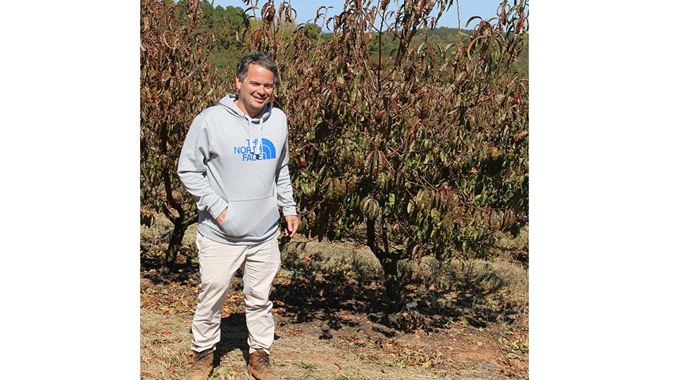 Peach Grower Rises Above the Freeze - Here's How They Did It - Vimarsana News