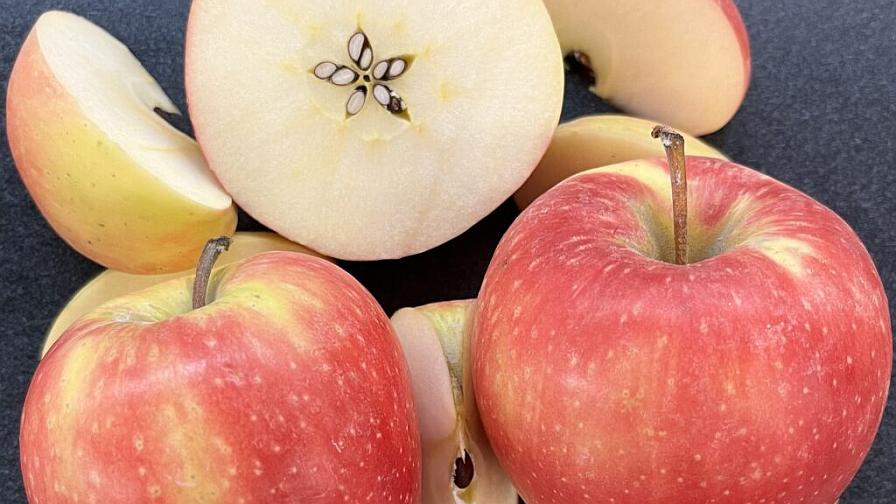 How You Can Help Give New Apple Variety a Name
