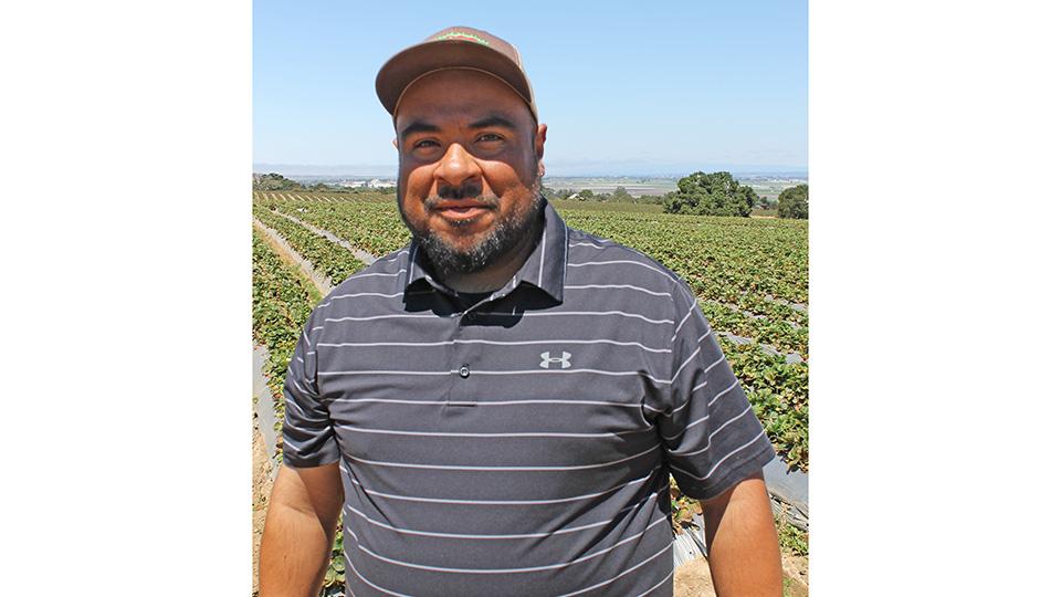 Why This Organic Strawberry Grower Is Questioning the Future - Vimarsana News