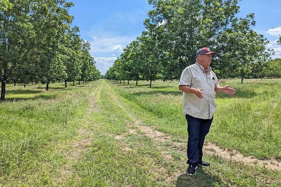 How This Pecan Grower Became a Soil Health Disciple - Vimarsana News