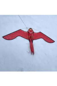 Bird scarer flying kite (Eyijklzo - Amazon vendor) 
