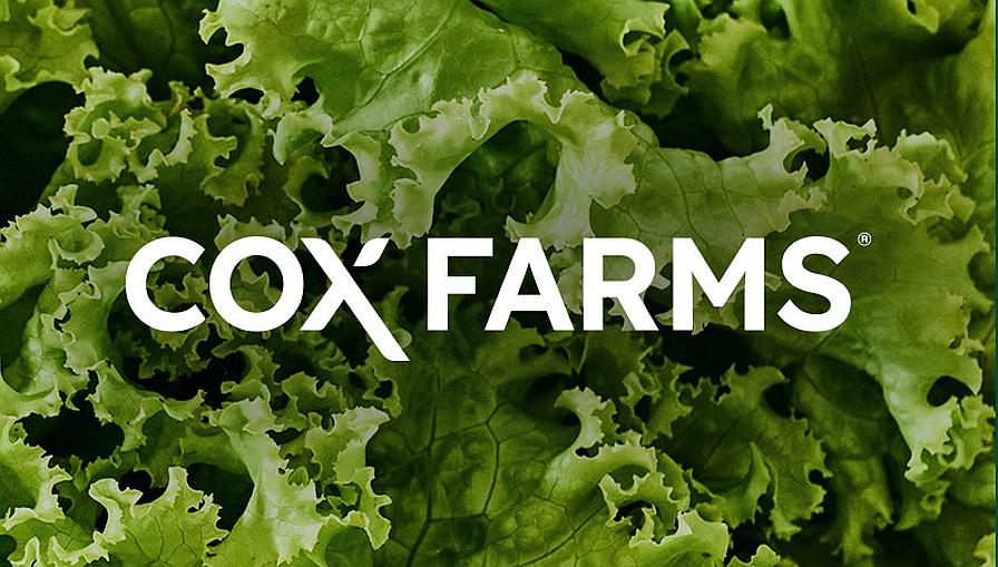 Cox Farms Launches as One of the Largest Greenhouse Growers in North America