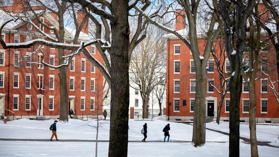 5. Harvard University