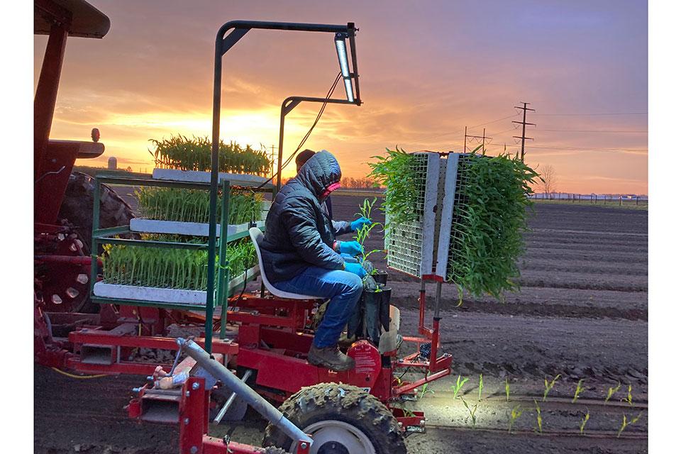 Working Nights Made Easy for This Sweet Corn Grower
