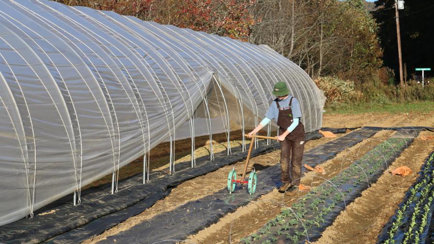 Profitable Vegetable Crops for a Small Farm
