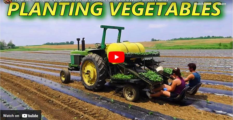 Watch Now: 3 Vegetable Transplant Videos You Have To See